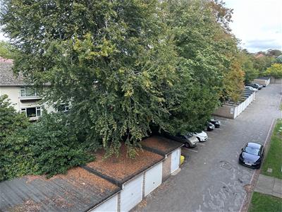 Picture 12